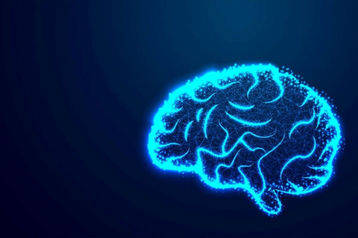 Plasticità sinaptica e adattamento del cervello