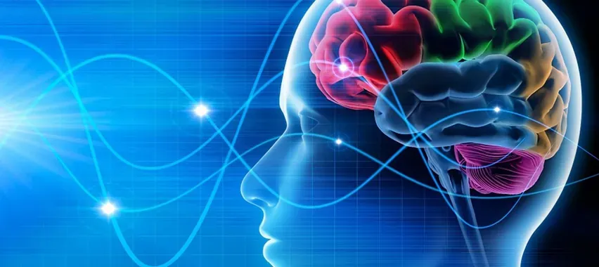 Epilessia e crisi epilettiche