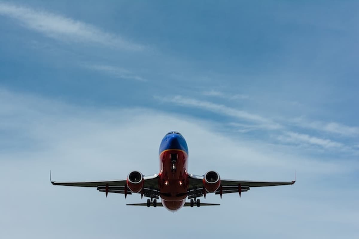 paura di volare