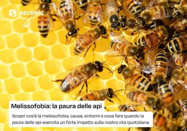 Paura delle api