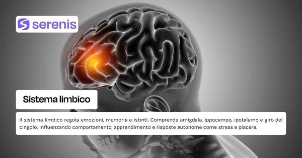 Sistema limbico