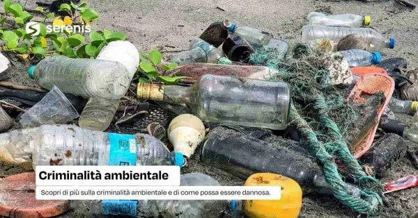 criminalità ambientale