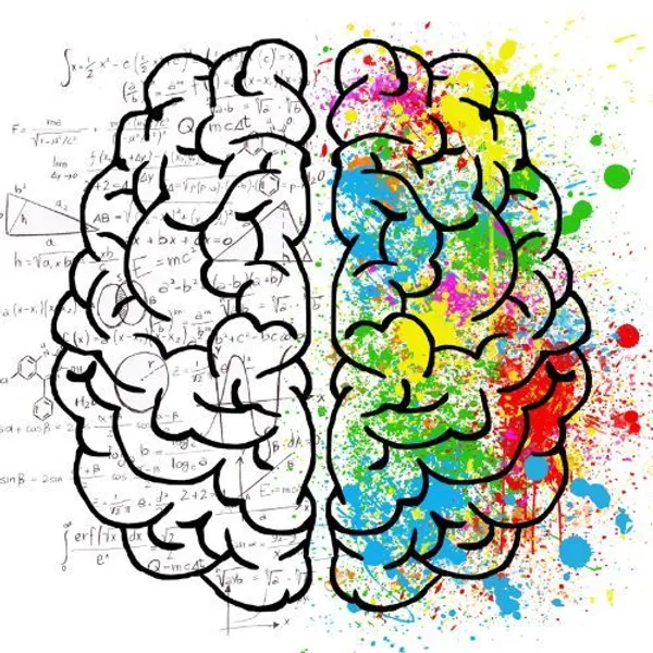 Cos'è la neuroplasticità del cervello