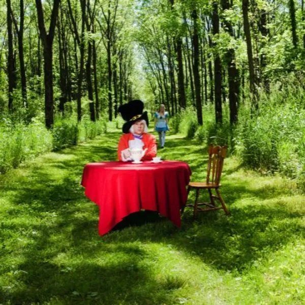 Significato alice nel paese delle meraviglie
