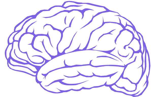 sviluppo celebrale e neuropsicologia