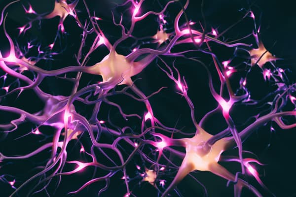 Principali neurotrasmettitori