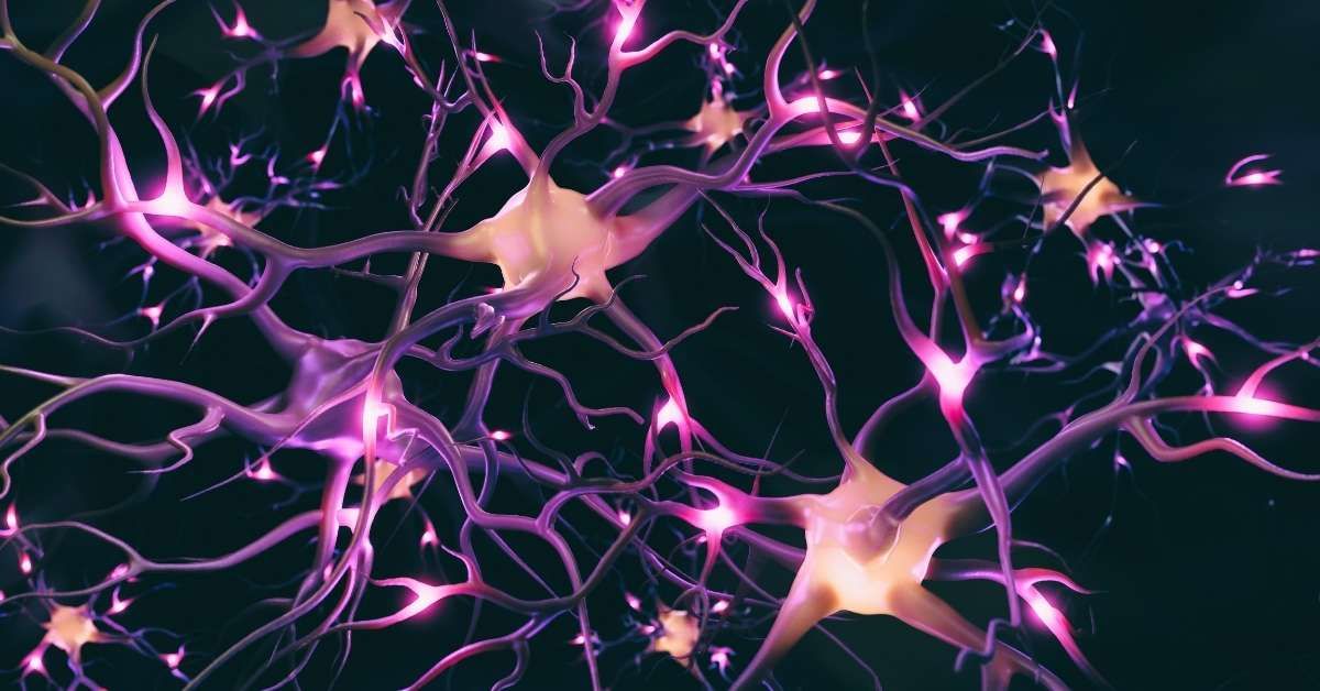 Neurotrasmettitori di noradrenalina