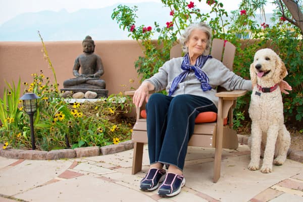 tecnica di psicoterapia pet therapy