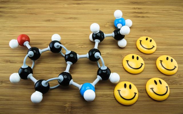 a cosa serve e come funziona la serotonina