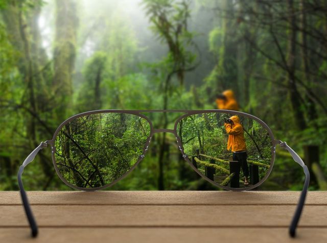 Conceptual image of rain forest focused in glasses lenses over t