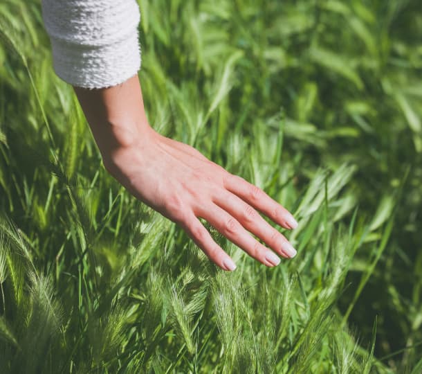 grounding esercizio con i sensi