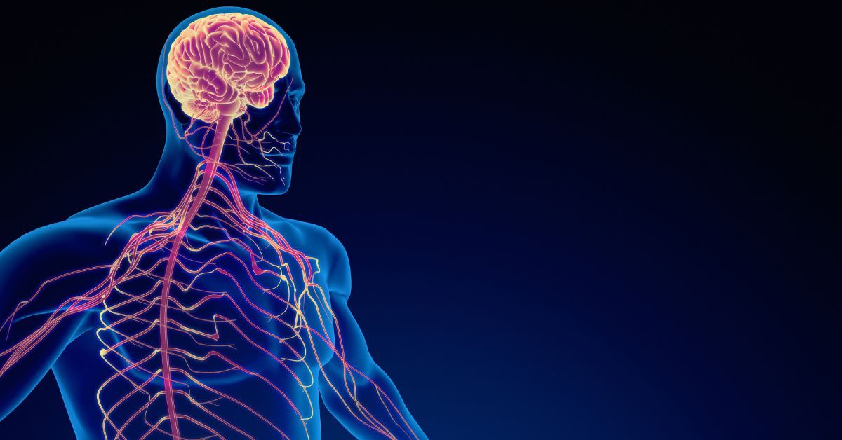 Il neurologo cura il sistema nervoso