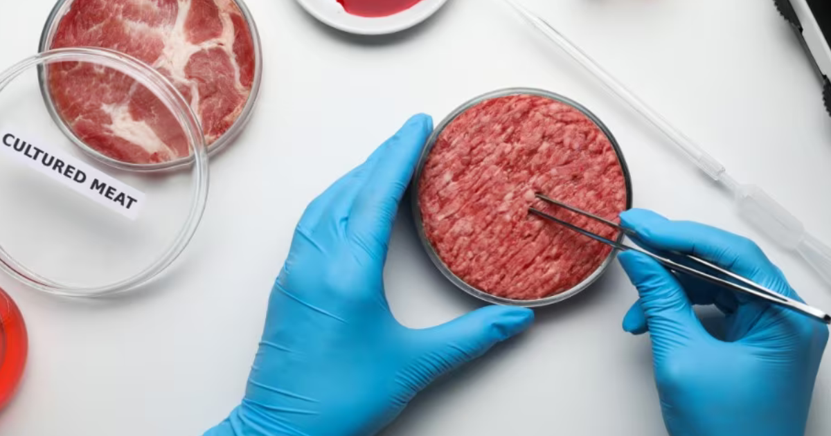 Carne sintetica e il divieto dell’Italia: la paura dell’ignoto
