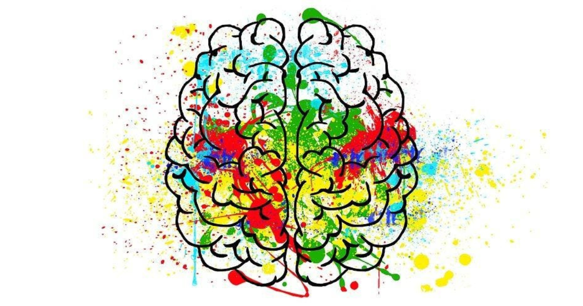 La neuroplasticità del cervello ci spiega come cambia in base alle esperienze